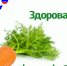 «Здоровая среда»: соевые продукты - ГТРК Лотос