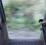Нелегал выпрыгнул на ходу из поезда, чтобы попасть в Астрахань - Punkt-a.info