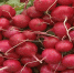 На астраханских прилавках появляется местная продукция - ГТРК Лотос