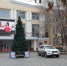 Фото дня: первые подарочки под астраханской елкой - Punkt-a.info