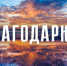 С благодарностью к координатору ЛДПР - ЛДПР