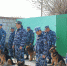 В региональном УФСИН завершились лично-командные соревнования по многоборью среди специалистов-кинологов со служебными собаками - УФСИН по Астраханской области