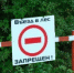 До 27 мая астраханцам не рекомендуется посещать леса - Punkt-a.info
