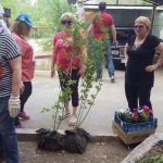 Возмутительный субботник