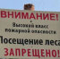 В связи с высокой пожароопасностью в регионе продлено ограничение на пребывание в лесу - Ast-News.Ru