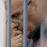 Миллионы, изъятые у арестованных полковника Захарченко и губернатора Хорошавина пропали - Punkt-a.info