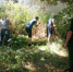 JPG Файл - УМВД по Астраханской области