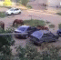 В Астрахани от копыт лошадей пострадали несколько автомобилей - Газета Волга
