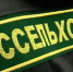 ...в Астраханскую область из Республики Татарстан - Astrakhan.Site