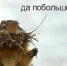 Под Астраханью жадный до денег начальник фиктивно устроил друга - Astrakhan.Site
