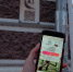 В Астрахани больше нет QR-кодов, ведущих на порносайты - Punkt-a.info
