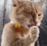 ast-news.ru - Ast-News.Ru