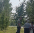 Астраханец выбросил сожительницу-инвалида из окна - Astrakhan.Site