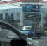 В астраханском такси заняли редкого пассажира-леопарда - Газета Волга