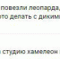 Стало известно, куда ехал леопард на такси в Астрахани - Punkt-a.info