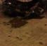 Ночью в центре Астрахани водитель выбил страйк: видео сильной аварии - Punkt-a.info