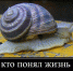 Игорю Бабушкину мало двух недель, чтобы выбрать достойного вице-губернатора, – астраханская прокуратура - Punkt-a.info