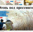Вышел в свет новый номер «Газеты ВОЛГА» - Правительство Астраханской области