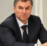 Вячеслав Володин: законопроект о виноградарстве и виноделии призван создать отрасль практически с нуля - Дума