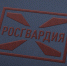 Астраханские росгвардейцы, задержавшие правонарушителя, отмечены Благодарственными письмами руководителя одного из подразделений полиции - Вневедомственная охрана