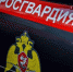 Астраханские росгвардейцы, задержавшие правонарушителя, отмечены Благодарственными письмами руководителя одного из подразделений полиции - Росгвардия