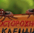 9.jpg - ДГП №4