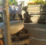 В центре Астрахани опрокинулась иномарка - Ast-News.Ru