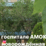 В госпитале Александро-Мариинской больницы вылечилась от коронавируса новорождённая - Министерство Здравоохранения