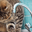 В центре Астрахани отключили горячую воду - Ast-News.Ru