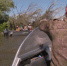Как астраханские рыбаки соблюдают правила рыболовства - ГТРК Лотос