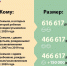 Новшества в программе материнского капитала - Пенсионный фонд