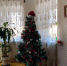 129885479_1462319873964981_984565418397293690_o.jpg - Ast-News.Ru