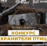 Вторсырье спасет зимующих птиц: стартовал конкурс по изготовлению экокормушек! - Агентство по делам молодежи