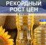 В России резко выросли цены на подсолнечное масло - Телеканал Семь плюс