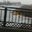 Такси для водяного: в Астрахани "Логан" припарковался в реке - Punkt-a.info
