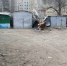 В Астрахани упавшее дерево раздавило гараж - Punkt-a.info