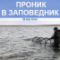 В особо охраняемой зоне Астраханского государственного природного заказника поймали браконьера - Телеканал Семь плюс