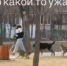 7568585685 - Сетевое издание Арбуз