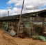 Под Астраханью нашли избушку с нелегалами - Astrakhanpost.Ru