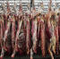 Животноводческую продукцию астраханцев теперь оценили и в Австралии - Астраханский листок