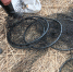 IMG-20210401-WA0013.jpg - УМВД Астраханской области
