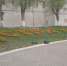 В центре Астрахани надпись с названием города «отагетисилась» - Bloknot-Astrakhan.Ru