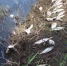 vlcsnap-2021-05-27-14h11m33s309 - Сетевое издание Арбуз