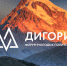 Открыт отбор участников на форум молодых политологов «Дигория»! - Агентство по делам молодежи