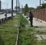 В Астрахани подкосили сорняки - Bloknot-Astrakhan.Ru