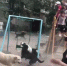 8785858 - Сетевое издание Арбуз