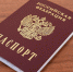 Представители ЛДПР возмущены отменой обязательных ранее штампов в паспортах - ЛДПР