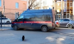 Труп в степи