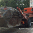 image-29-07-21-04-31-1 - Сетевое издание Арбуз