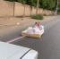 Катающемуся на матрасе астраханцу прилетел штраф - Bloknot-Astrakhan.Ru